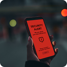 Fraud Detection & Risk Modelling